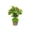 Artificial Indoor Plant