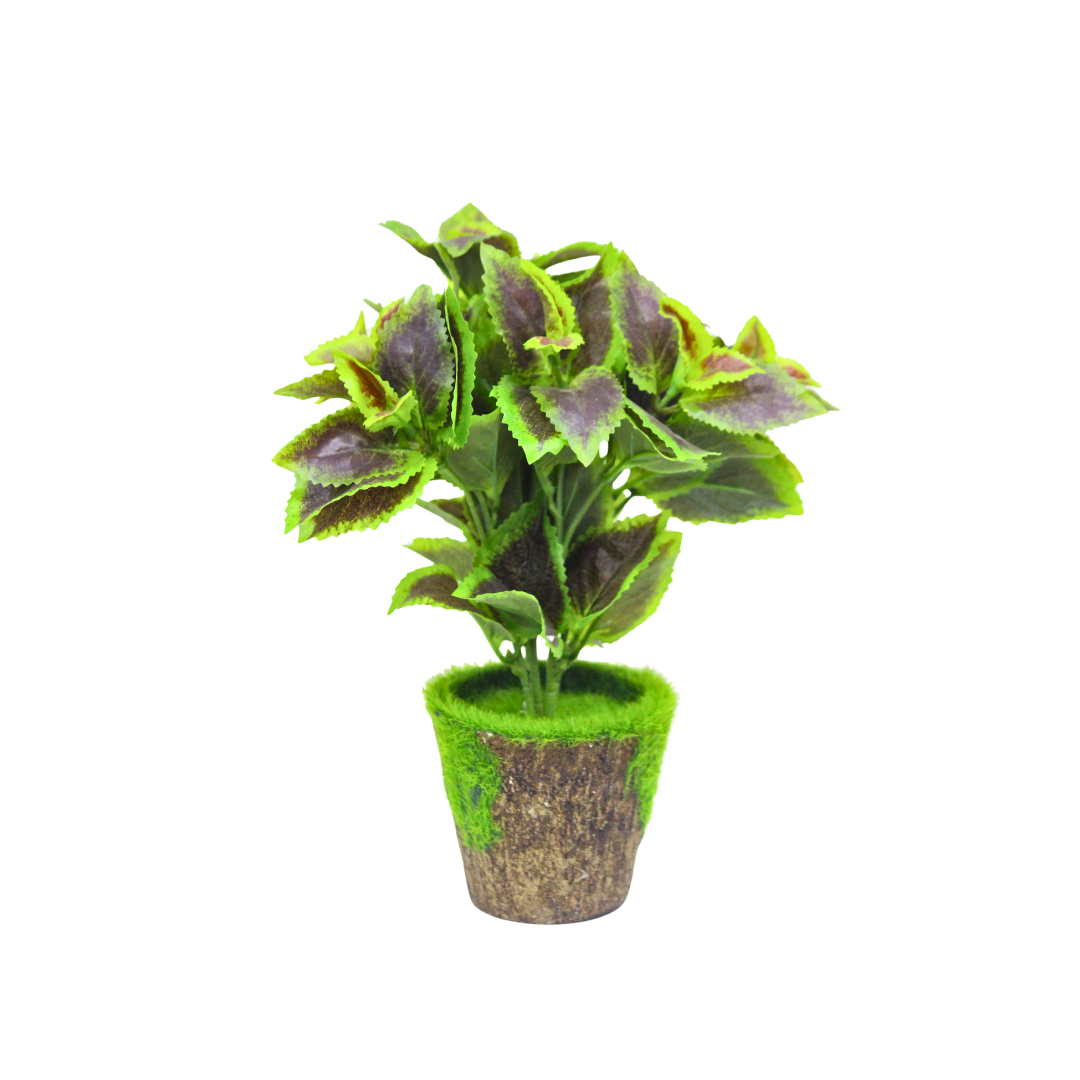 Artificial Indoor Plant