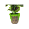 Artificial Indoor Plant with Green Purple Leaves