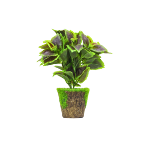 Artificial Indoor Plant with Green & Purple Leaves