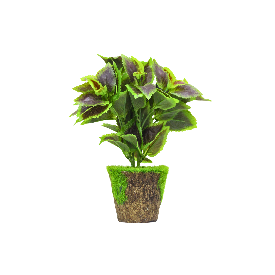Artificial Indoor Plant with Green & Purple Leaves